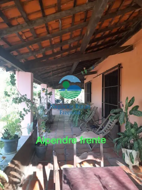 Fazenda / Haras com 1 quarto à venda, 70m2 em Floriano - PI - imagem 4 Foto 4 de Fazenda / Haras com 1 quarto à venda, 70m2 em Floriano - PI