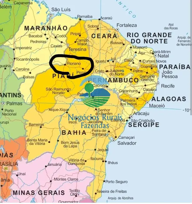 Fazenda / Haras com 1 quarto à venda, 70m2 em Floriano - PI - imagem 3 Foto 3 de Fazenda / Haras com 1 quarto à venda, 70m2 em Floriano - PI