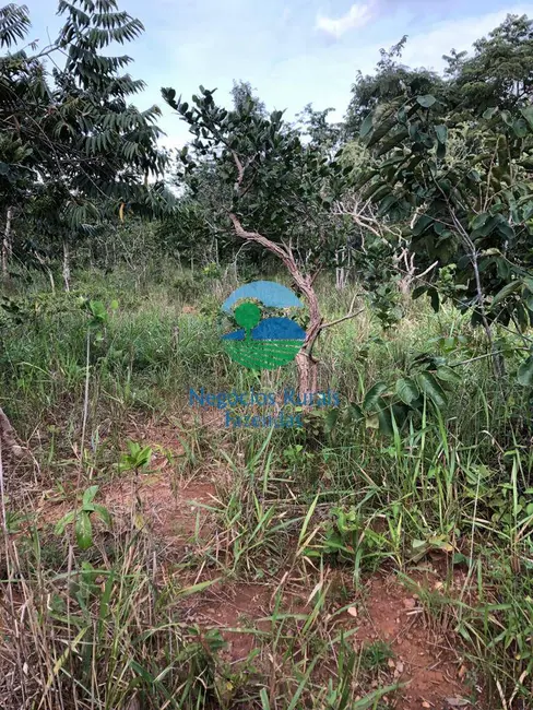 Foto 8 de Fazenda / Haras à venda, 96m2 em Uruacu - GO