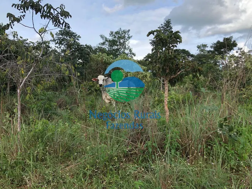 Foto 7 de Fazenda / Haras à venda, 96m2 em Uruacu - GO