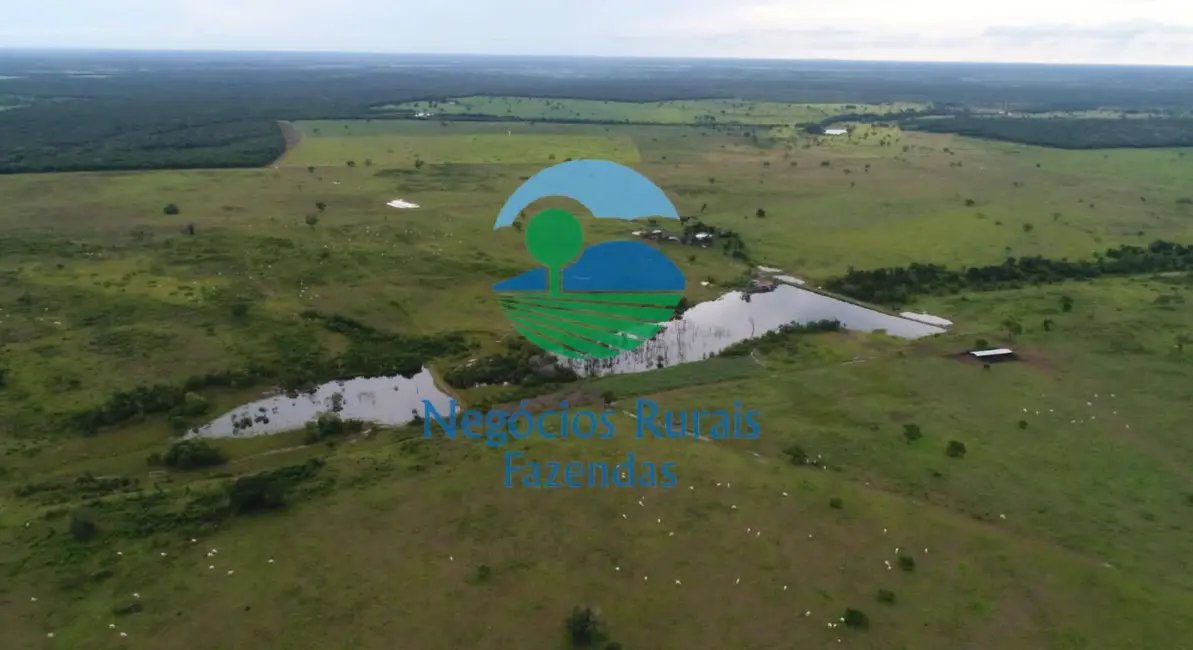 Fazenda / Haras com 1 quarto à venda, 1335m2 em Duere - TO - imagem 9 Foto 9 de Fazenda / Haras com 1 quarto à venda, 1335m2 em Duere - TO