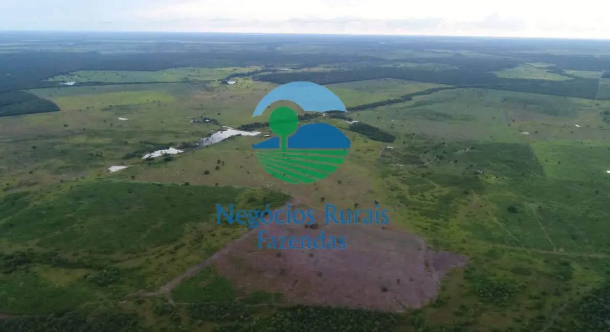 Fazenda / Haras com 1 quarto à venda, 1335m2 em Duere - TO - imagem 8 Foto 8 de Fazenda / Haras com 1 quarto à venda, 1335m2 em Duere - TO