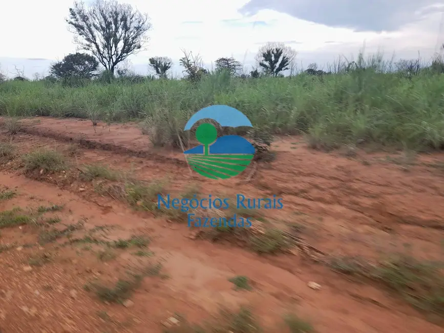 Foto 4 de Fazenda / Haras com 1 quarto à venda, 4461m2 em Goiatins - TO