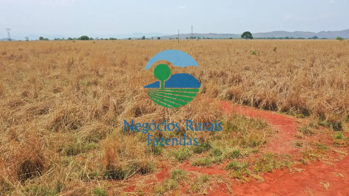 Fazenda / Haras com 1 quarto à venda, 760m2 em Palmeiropolis - TO - imagem 3 Foto 3 de Fazenda / Haras com 1 quarto à venda, 760m2 em Palmeiropolis - TO