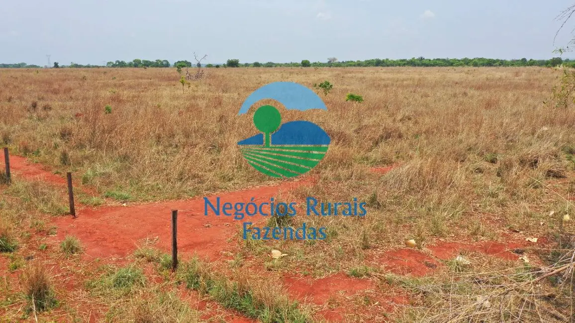 Fazenda / Haras com 1 quarto à venda, 760m2 em Palmeiropolis - TO - imagem 2 Foto 2 de Fazenda / Haras com 1 quarto à venda, 760m2 em Palmeiropolis - TO