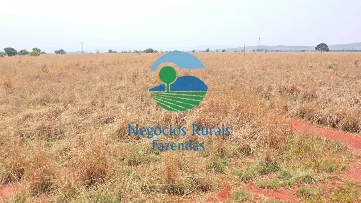 Fazenda / Haras com 1 quarto à venda, 760m2 em Palmeiropolis - TO - imagem 7 Foto 7 de Fazenda / Haras com 1 quarto à venda, 760m2 em Palmeiropolis - TO