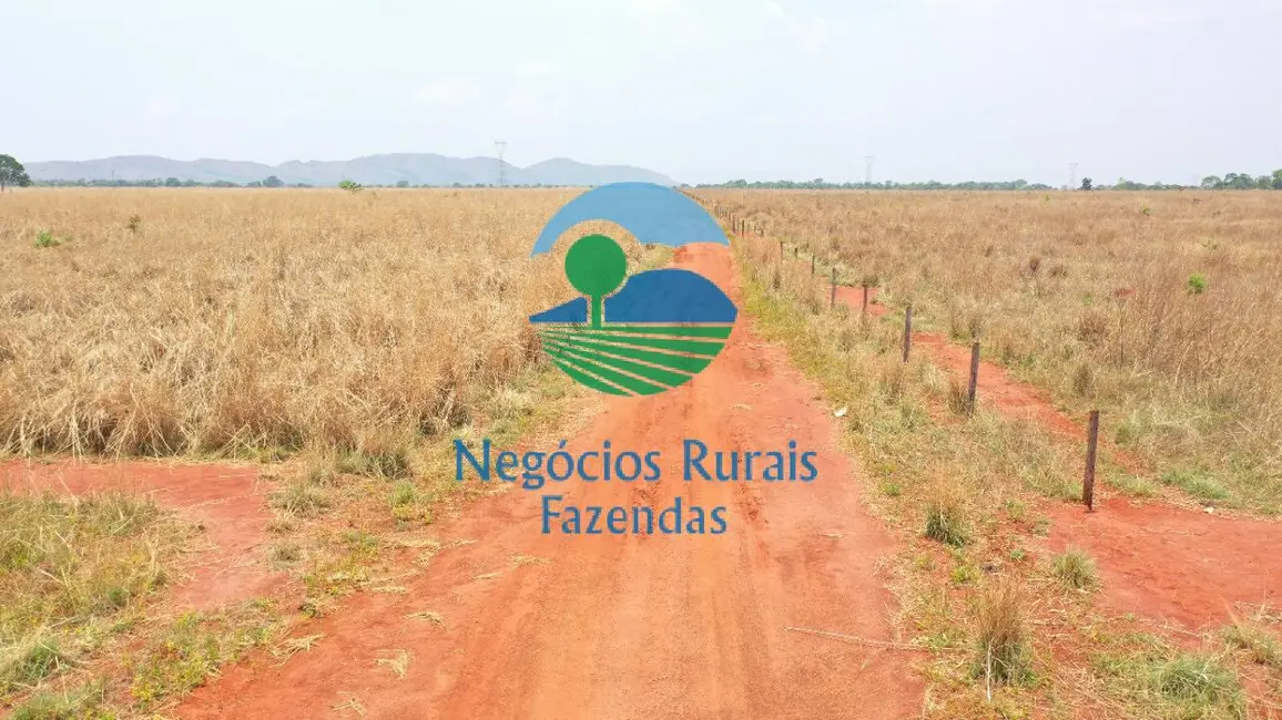 Fazenda / Haras com 1 quarto à venda, 760m2 em Palmeiropolis - TO - imagem 4 Foto 4 de Fazenda / Haras com 1 quarto à venda, 760m2 em Palmeiropolis - TO