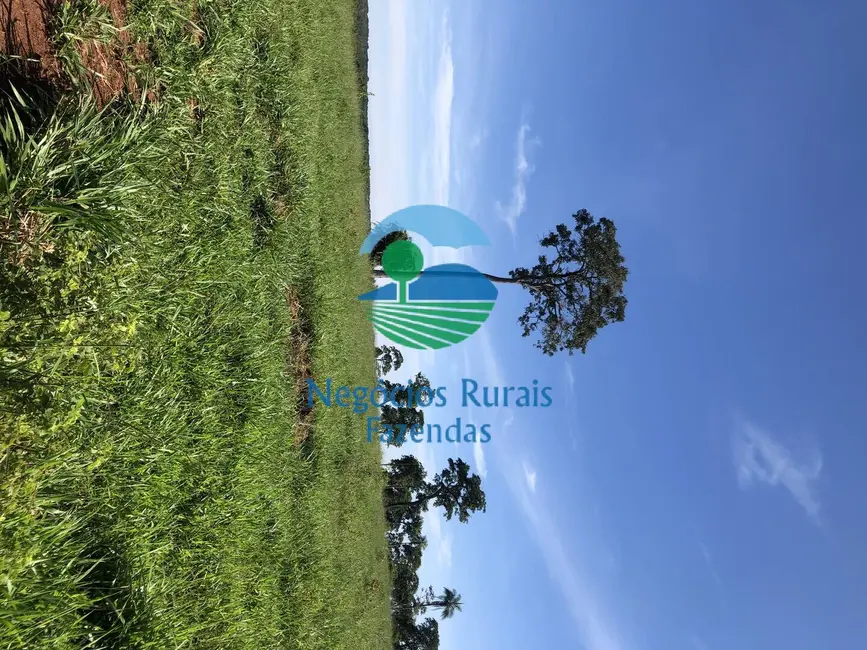 Foto 7 de Fazenda / Haras à venda, 677m2 em Campinorte - GO