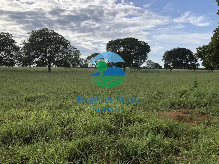Foto 1 de Fazenda / Haras à venda, 677m2 em Campinorte - GO