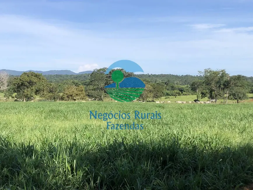Foto 4 de Fazenda / Haras à venda, 677m2 em Campinorte - GO
