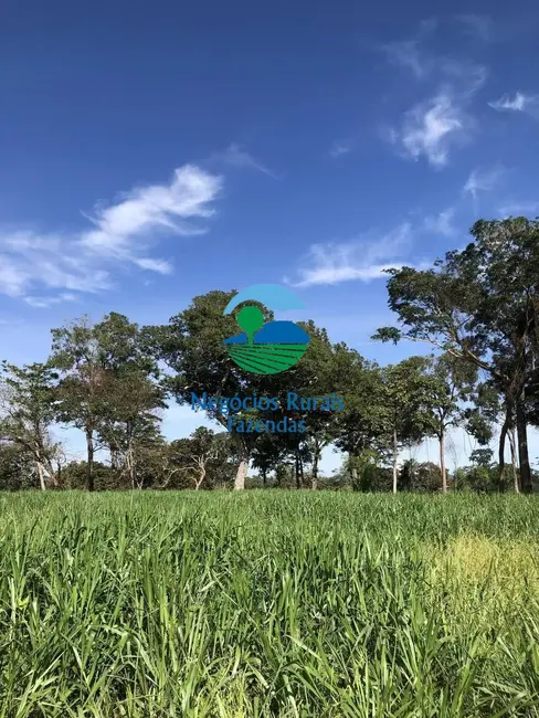 Foto 6 de Fazenda / Haras à venda, 677m2 em Campinorte - GO