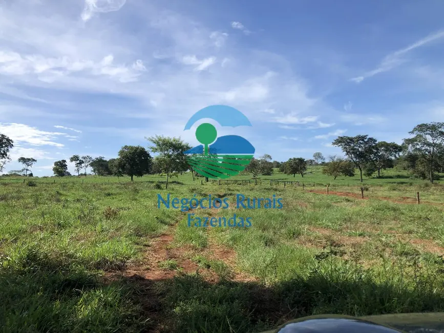 Foto 5 de Fazenda / Haras à venda, 677m2 em Campinorte - GO