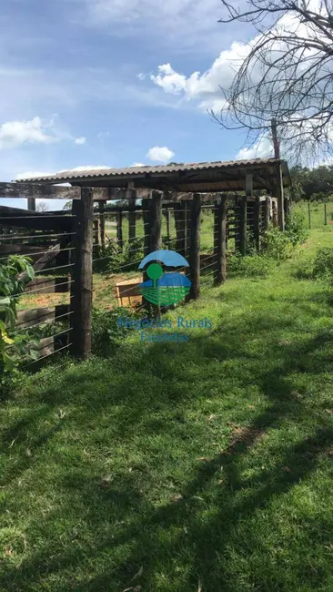Fazenda / Haras com 1 quarto à venda, 232m2 em Caldas Novas - GO - imagem 8 Foto 8 de Fazenda / Haras com 1 quarto à venda, 232m2 em Caldas Novas - GO