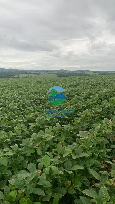 Foto 3 de Fazenda / Haras com 1 quarto à venda, 532m2 em Pires Do Rio - GO