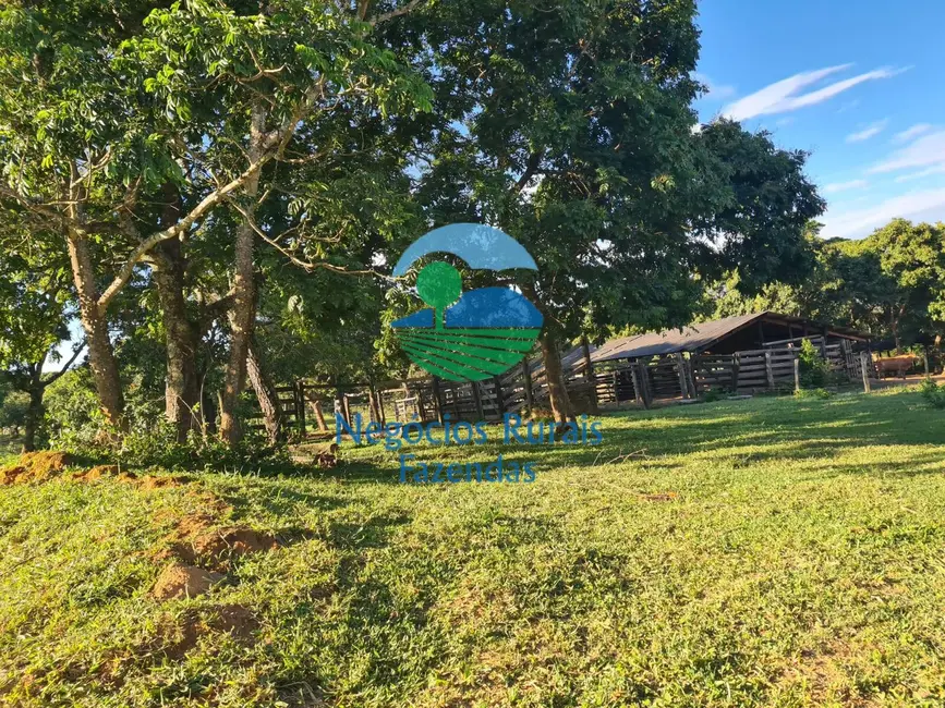 Foto 6 de Fazenda / Haras com 1 quarto à venda, 532m2 em Pires Do Rio - GO