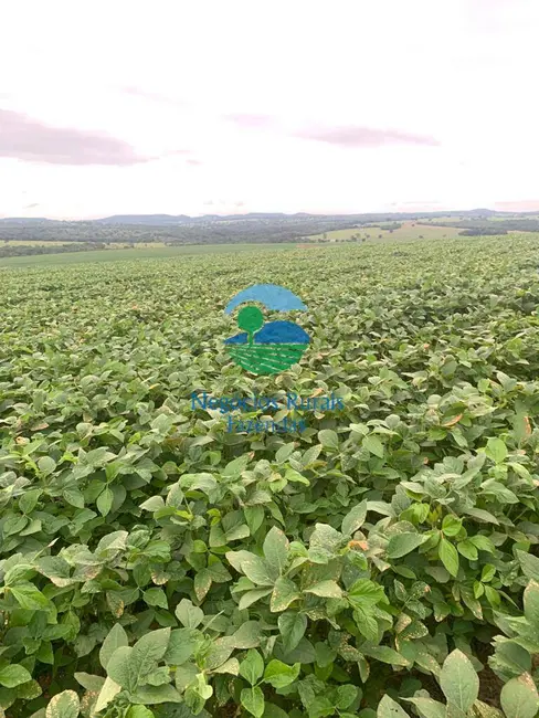 Foto 1 de Fazenda / Haras com 1 quarto à venda, 532m2 em Pires Do Rio - GO