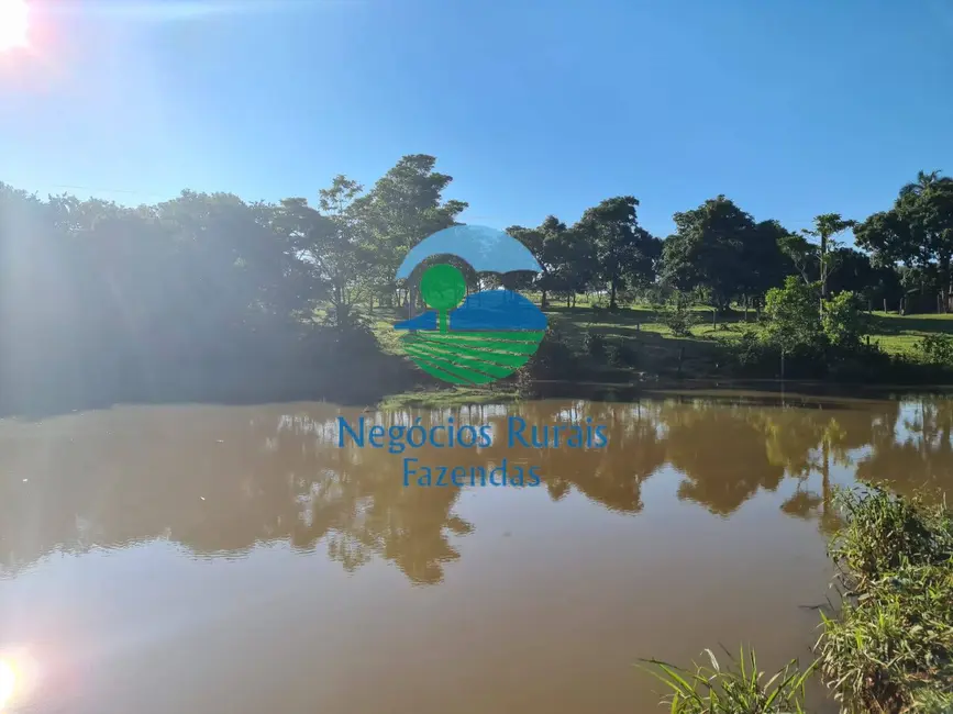 Foto 4 de Fazenda / Haras com 1 quarto à venda, 532m2 em Pires Do Rio - GO