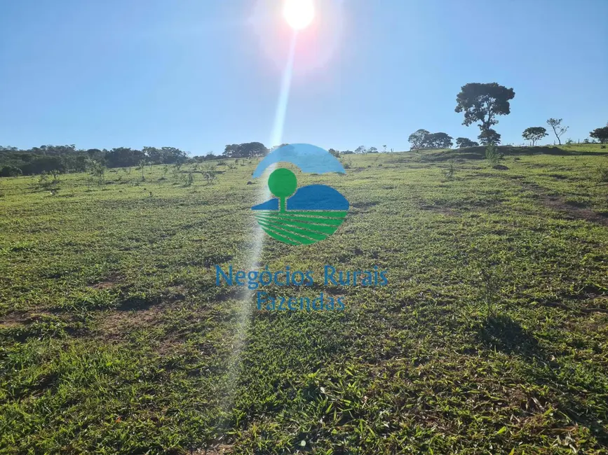 Foto 8 de Fazenda / Haras com 1 quarto à venda, 532m2 em Pires Do Rio - GO