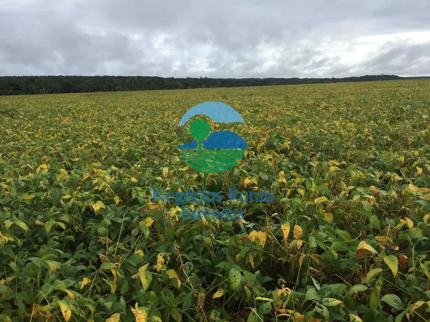 Fazenda / Haras à venda, 827m2 em Gurupi - TO - imagem 9 Foto 9 de Fazenda / Haras à venda, 827m2 em Gurupi - TO