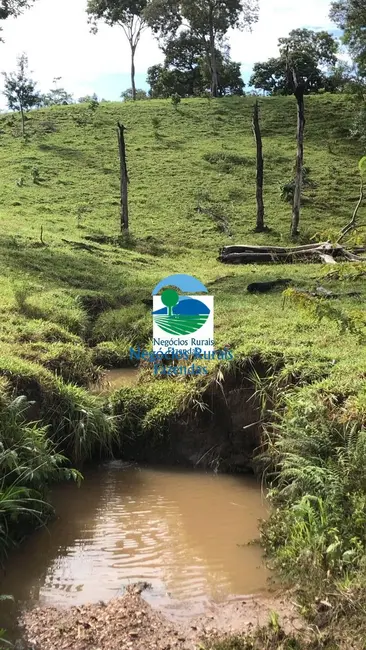 Foto 7 de Fazenda / Haras com 1 quarto à venda, 396m2 em Campinorte - GO