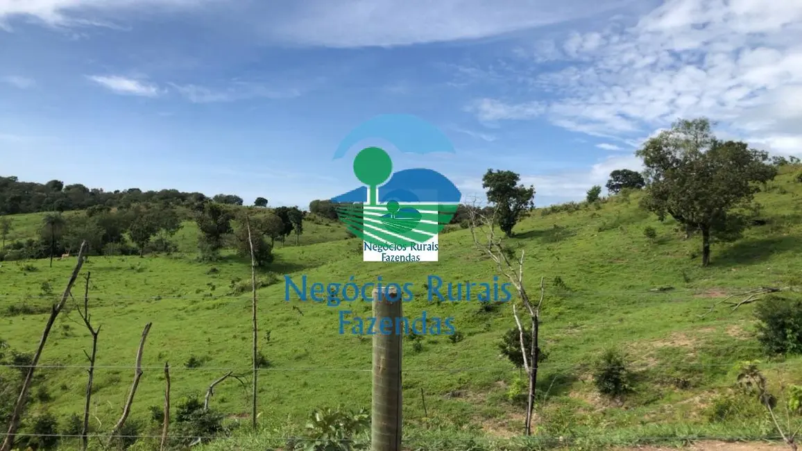 Foto 1 de Fazenda / Haras com 1 quarto à venda, 396m2 em Campinorte - GO