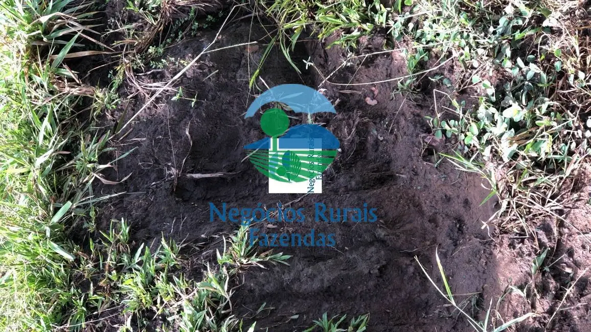 Foto 9 de Fazenda / Haras com 1 quarto à venda, 396m2 em Campinorte - GO