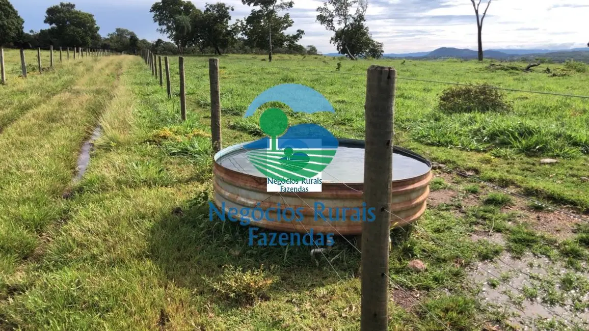 Foto 8 de Fazenda / Haras com 1 quarto à venda, 396m2 em Campinorte - GO