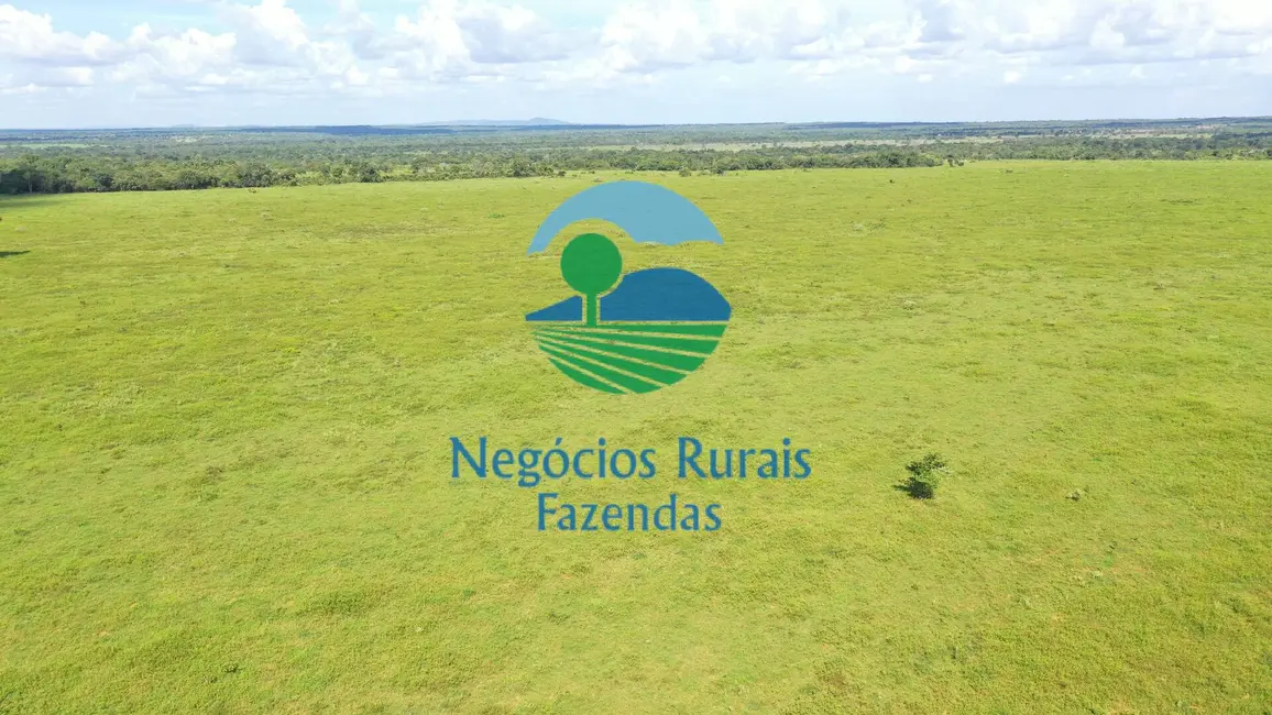 Fazenda / Haras com 1 quarto à venda, 464m2 em Novo Planalto - GO - imagem 7 Foto 7 de Fazenda / Haras com 1 quarto à venda, 464m2 em Novo Planalto - GO