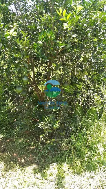 Foto 6 de Fazenda / Haras com 1 quarto à venda, 53m2 em Centro, Pirenopolis - GO