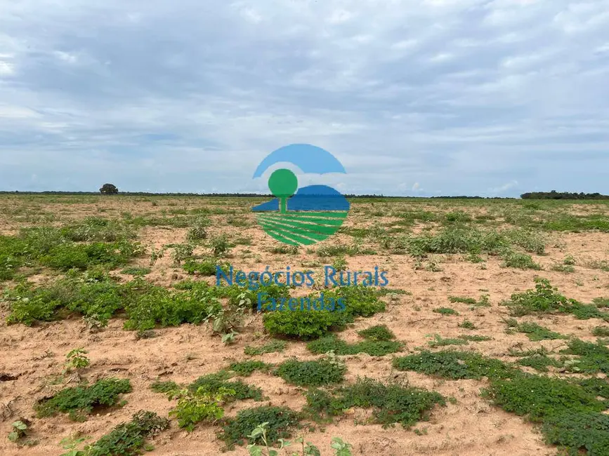 Foto 4 de Fazenda / Haras com 1 quarto à venda, 1379m2 em Figueiropolis - TO