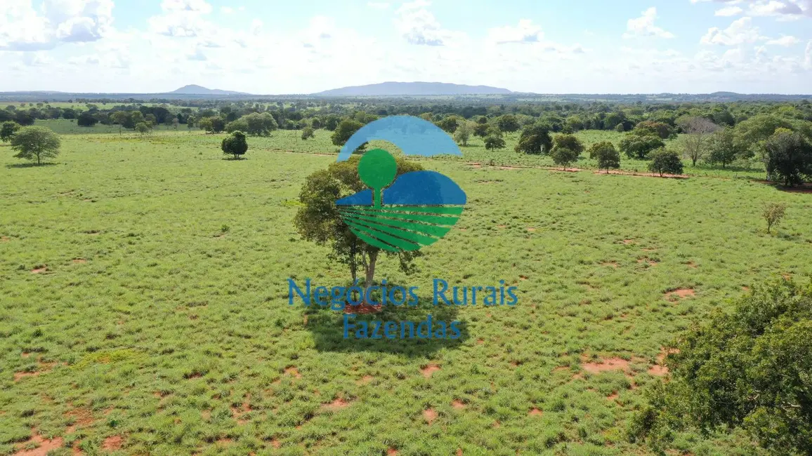 Foto 3 de Fazenda / Haras com 1 quarto à venda, 1180m2 em Araguapaz - GO