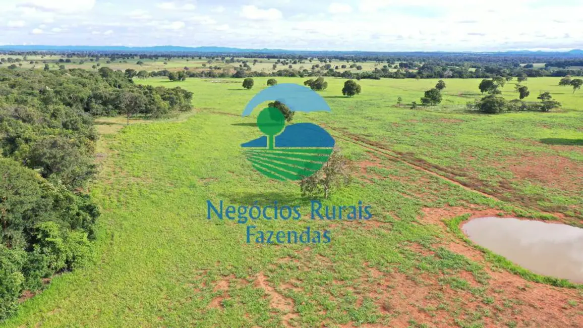 Foto 7 de Fazenda / Haras com 1 quarto à venda, 1180m2 em Araguapaz - GO