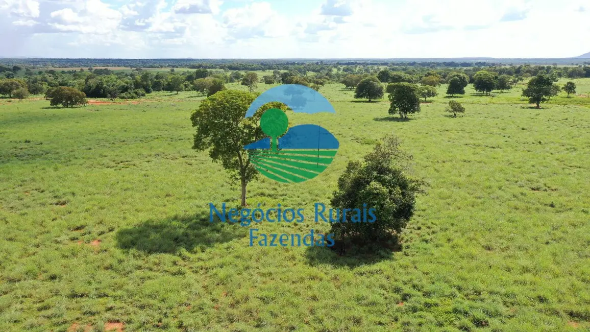 Foto 5 de Fazenda / Haras com 1 quarto à venda, 1180m2 em Araguapaz - GO