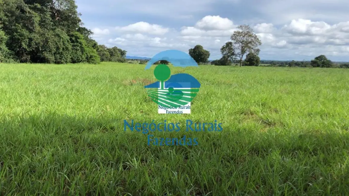 Foto 4 de Fazenda / Haras com 1 quarto à venda, 1180m2 em Araguapaz - GO