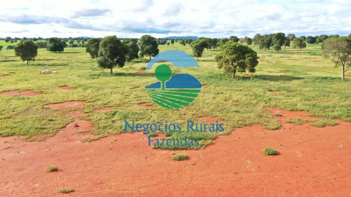 Foto 6 de Fazenda / Haras com 1 quarto à venda, 1180m2 em Araguapaz - GO