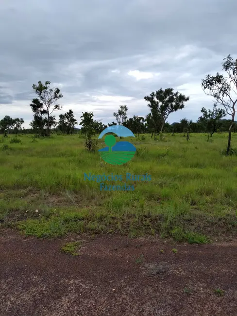 Foto 5 de Fazenda / Haras com 1 quarto à venda, 4840m2 em Taipas Do Tocantins - TO