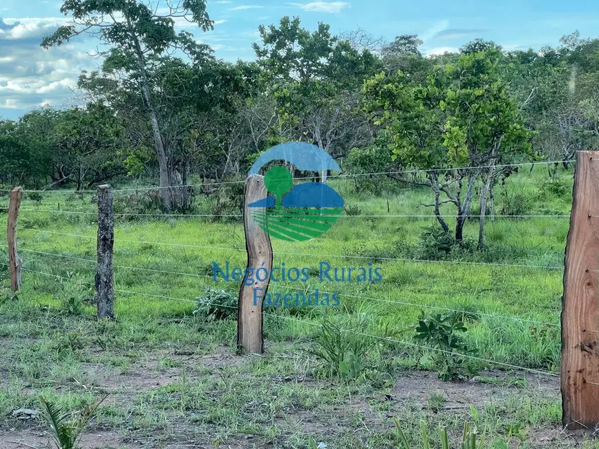 Foto 7 de Fazenda / Haras com 1 quarto à venda, 4840m2 em Taipas Do Tocantins - TO