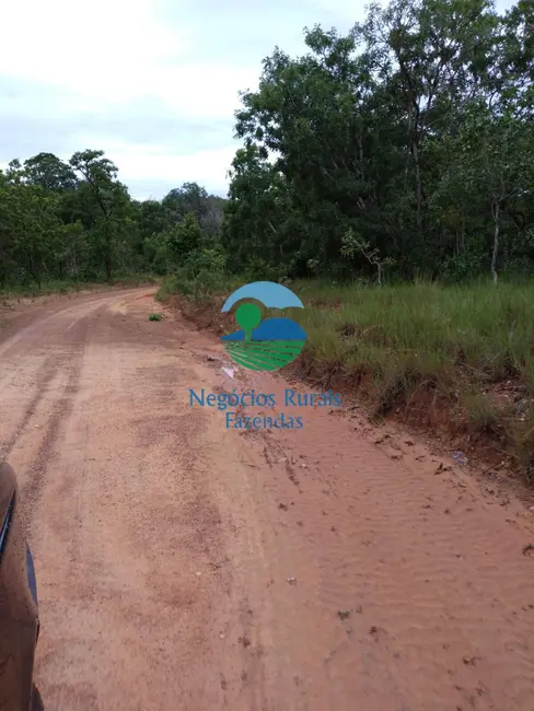 Foto 1 de Fazenda / Haras com 1 quarto à venda, 4840m2 em Taipas Do Tocantins - TO