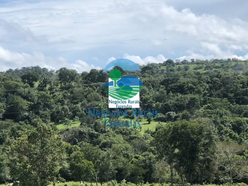 Foto 5 de Fazenda / Haras com 1 quarto à venda, 484m2 em Uruacu - GO