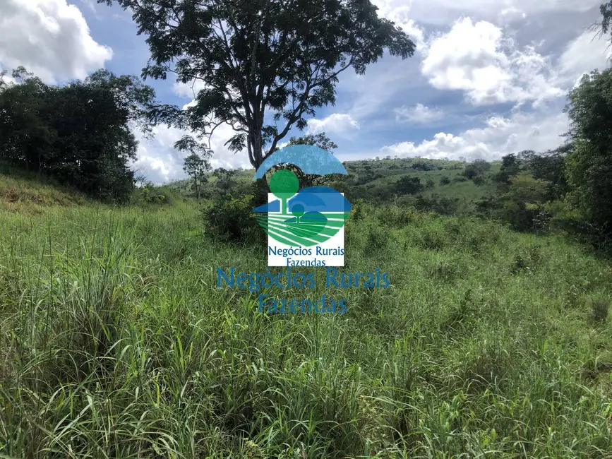 Foto 8 de Fazenda / Haras com 1 quarto à venda, 484m2 em Uruacu - GO