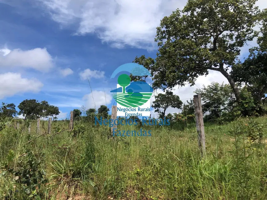 Foto 3 de Fazenda / Haras com 1 quarto à venda, 484m2 em Uruacu - GO