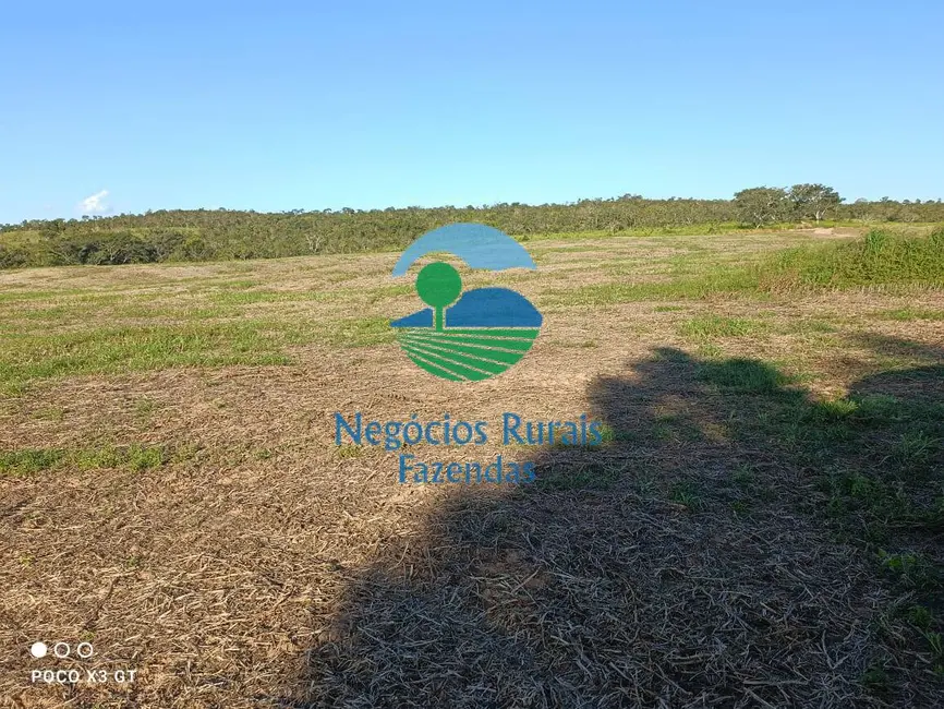 Foto 7 de Fazenda / Haras à venda, 159m2 em Ipameri - GO