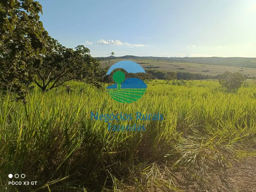 Foto 3 de Fazenda / Haras à venda, 159m2 em Ipameri - GO