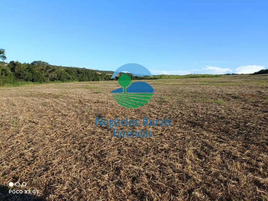 Foto 9 de Fazenda / Haras à venda, 159m2 em Ipameri - GO