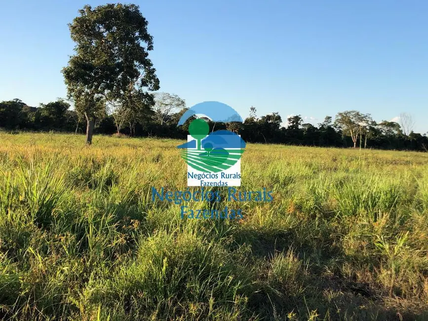 Foto 7 de Fazenda / Haras com 1 quarto à venda, 726m2 em Mara Rosa - GO