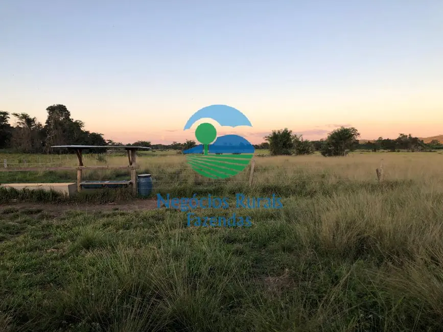 Foto 9 de Fazenda / Haras com 1 quarto à venda, 726m2 em Mara Rosa - GO