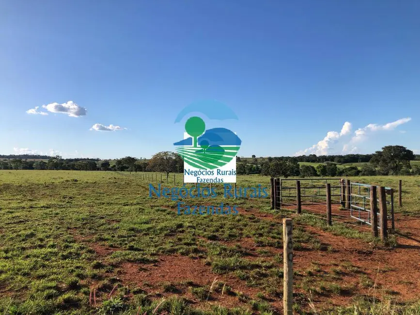 Foto 2 de Fazenda / Haras com 1 quarto à venda, 726m2 em Mara Rosa - GO