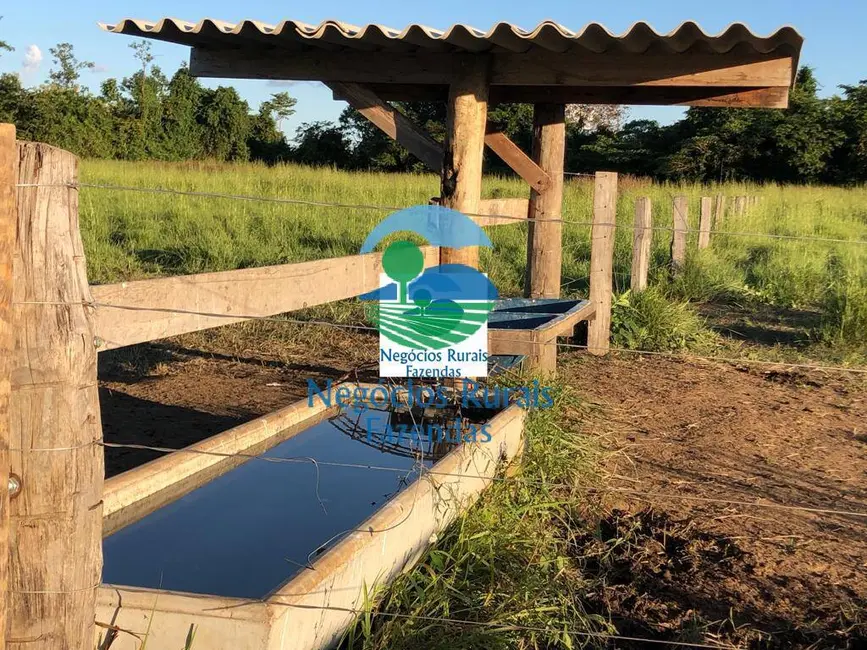 Foto 4 de Fazenda / Haras com 1 quarto à venda, 726m2 em Mara Rosa - GO