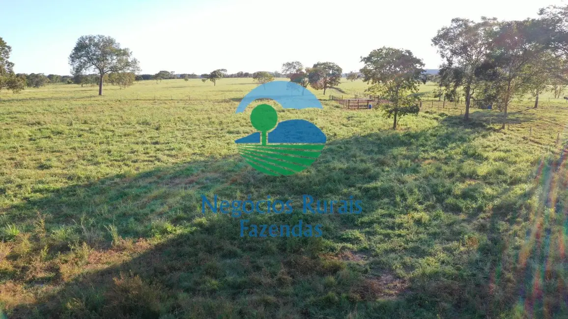 Foto 6 de Fazenda / Haras com 1 quarto à venda, 726m2 em Mara Rosa - GO