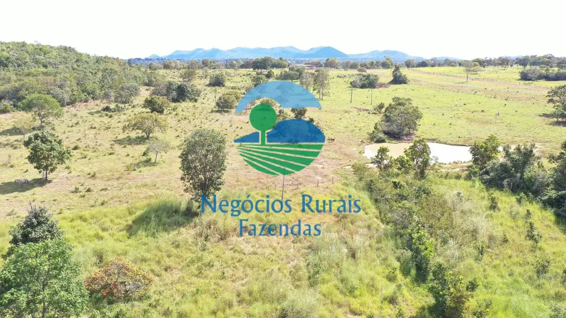 Foto 2 de Fazenda / Haras à venda, 314m2 em Mara Rosa - GO